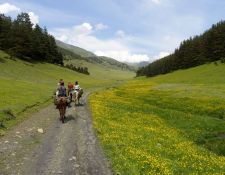 von Shenako nach Diko 