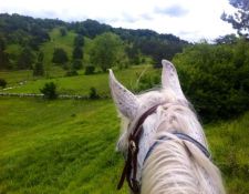 Reiturlaub dalamatinisches Hinterland