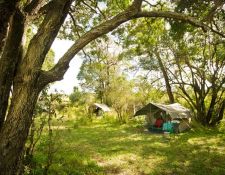 Kenia Reitsafari Maasai Mara Conservancies