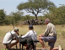 Kenia Reitsafari Maasai Mara Conservancies