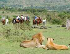 Kenia Reitsafari Maasai Mara Conservancies