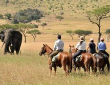 Kenia Reitsafari Maasai Mara Conservancies