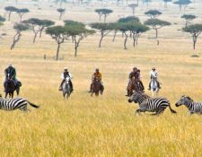Kenia Reitsafari Maasai Mara Conservancies