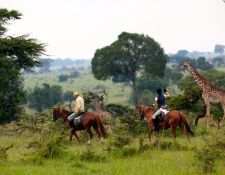 Kenia Reitsafari Maasai Mara Conservancies