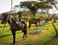 Kenia Reitsafari Maasai Mara Conservancies