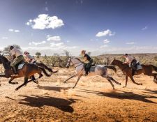 Galopp in der Gruppe