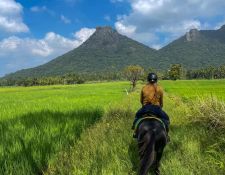 Reittour Sri Lanka