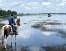 Sri Lanka Begegnung mit Elefant