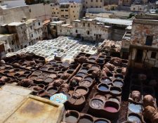 Marokko Wanderritt Königsstädte Färbereien in Fès