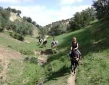 Marokko Wanderritt Königsstädte