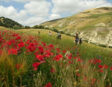 Marokko Wanderritt Königsstädte