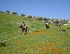 Marokko Wanderritt Königsstädte