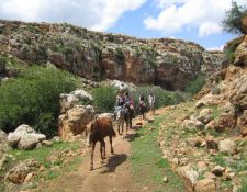 Marokko Wanderritt Königsstädte