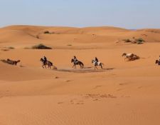 Marokko Wanderritt Oasen & Sanddünen