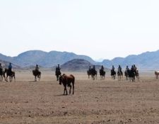 Damara Elephant Ride