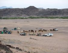 Damara Elephant Ride