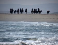 Damara Elephant Ride