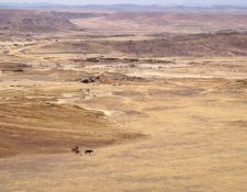 Damara Elephant Ride