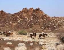 Damara Elephant Ride