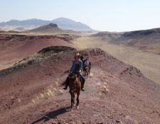 Damara Elephant Ride