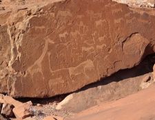 Damara Elephant Ride