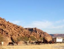 Damara Elephant Ride