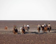 Damara Elephant Ride