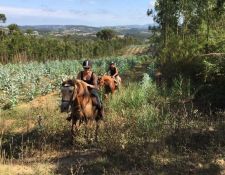 Portugal - Wanderritt Atlantik 