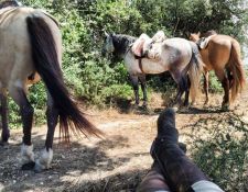 Portugal - Wanderritt Atlantik 