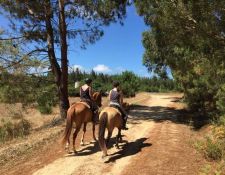 Portugal - Wanderritt Atlantik 