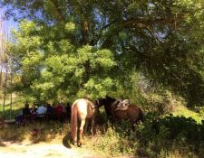 Portugal - Wanderritt Atlantik 