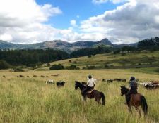 Eswatini Wanderritt Mlilwane