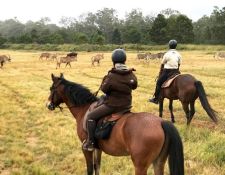 Eswatini Wanderritt Mlilwane