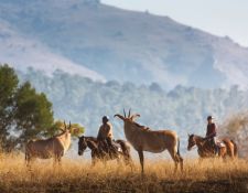 Eswatini Wanderritt Mlilwane