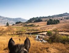 Eswatini Wanderritt Mlilwane