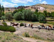 Kappadokien - allgemeine Pferdetranke 