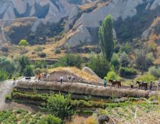 Grüne Landschaft in Kappadokien