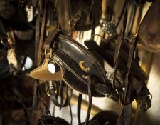 Kappadokien - Wanderritt  Comfort