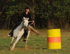 Triple B Barrel racing