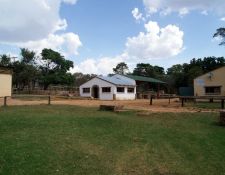 Blick auf die Ställe 