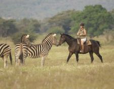 Laura mit Zebras