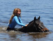 schwimmen mit den Pferden 