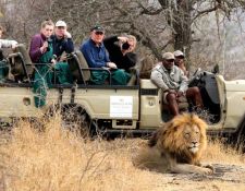 Amakhosi Game Reserve