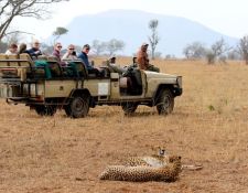 Amakhosi Game Reserve