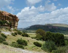 Witteberg Höhenzug im Moolmanshoek Natur-Reservat - ©ZhenyaSwan