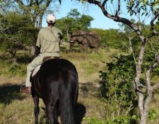 Simbabwe - Reitsafari Victoria Falls