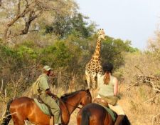 Simbabwe - Reitsafari Victoria Falls