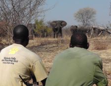Victoria Falls Anti-Poaching Unit 