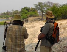Fußpirsch im Zambezi National Park