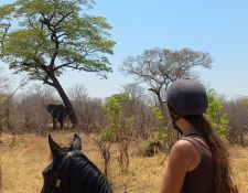 Reitsafari Hwange 